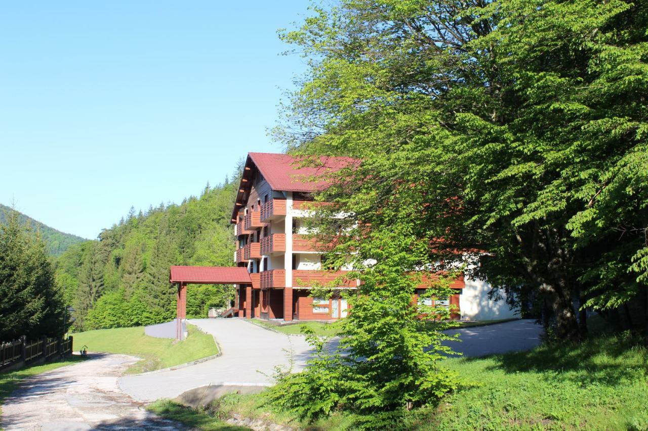 Monte Cervo Bio Hotel & Spa Covasna Ngoại thất bức ảnh